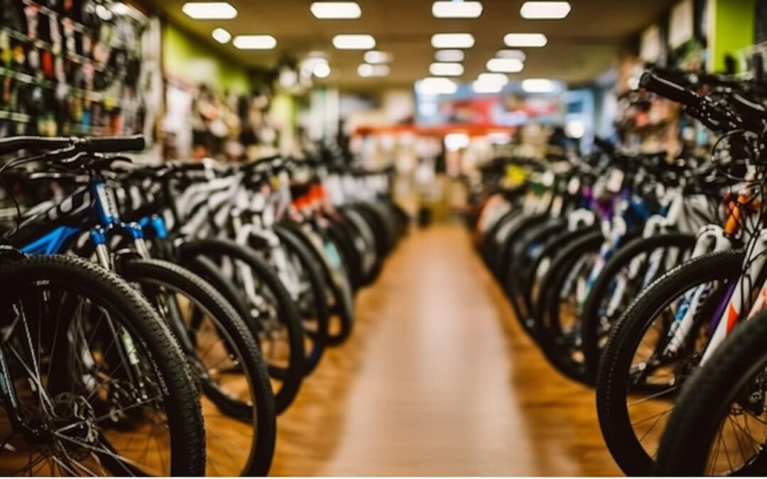 Fahrradbranche auf Erfolgskurs: Rekordjahr 2024
