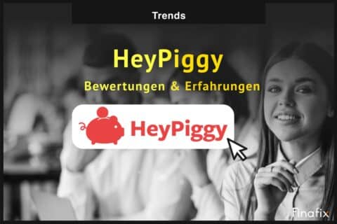 HeyPiggy Bewertung