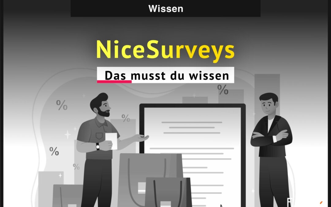 NiceSurveys: DAS musst du vorher wissen