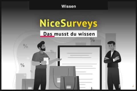 NiceSurveys Bewertung