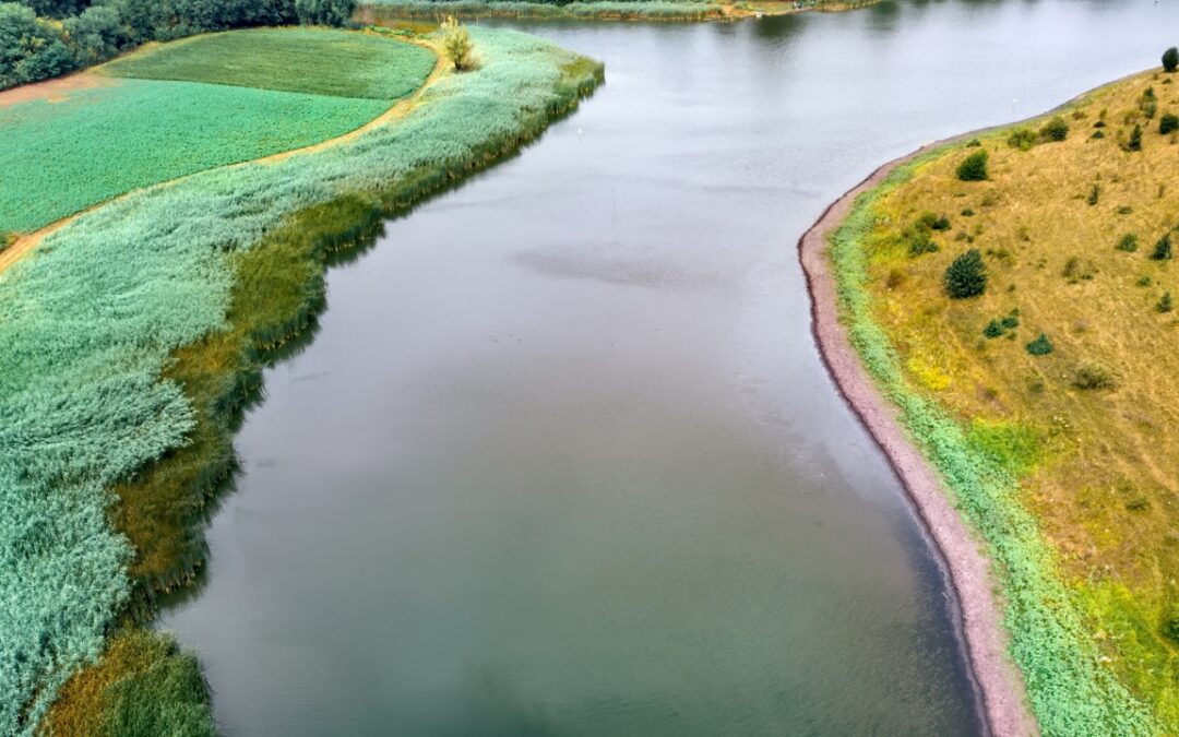 Niedrigwasser Donau: Was jetzt wirklich zählt