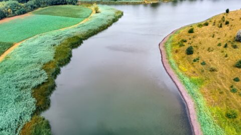niedrigwasser donau pegel Niedrigwasser Donau Pegel